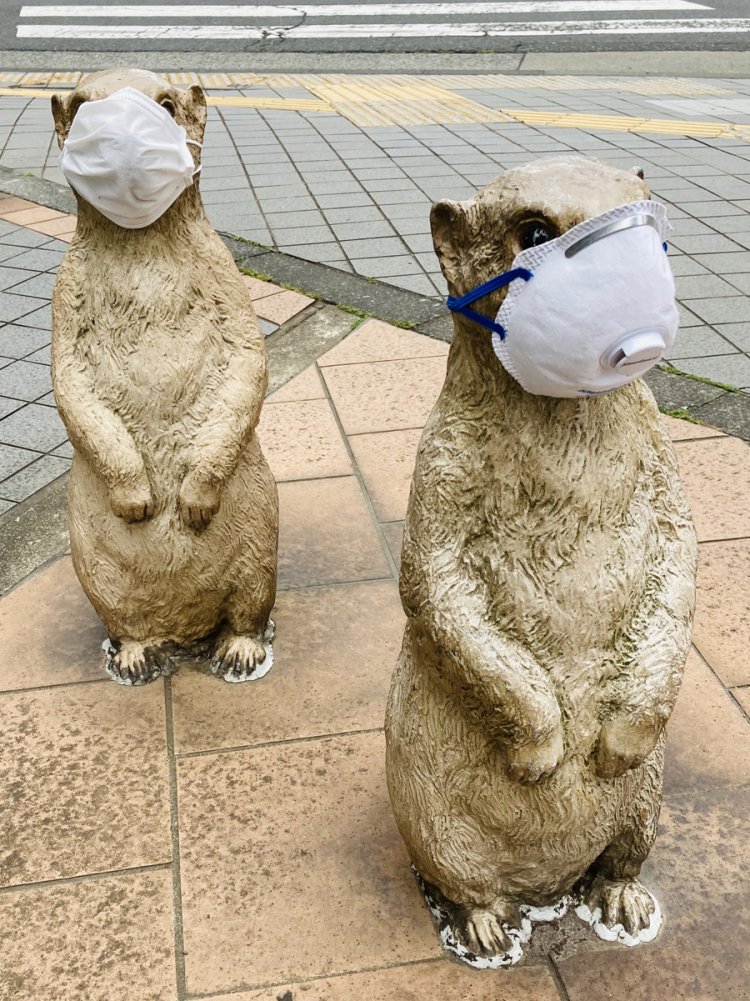 立派な防塵用マスクを着けたプレーリードッグ（清瀬）