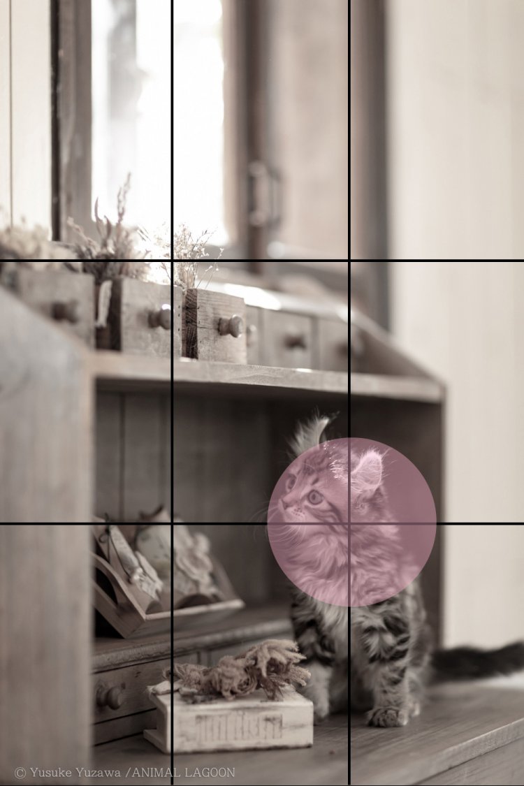 グリッドを使った撮影イメージ