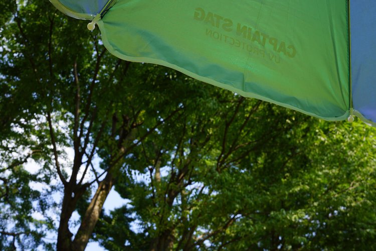 11のチェアー座り比べ！「パリッコ的・チェアリングにおすすめの椅子」はどれだ？【後編】