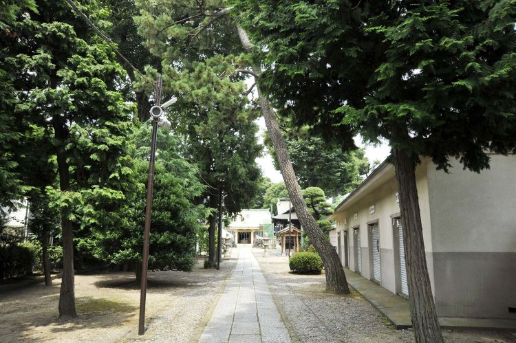 一直線に伸びる約100ｍの参道。正面に立つ社殿は明治百年記念事業として、昭和43年（1968）に改築竣工したもの。