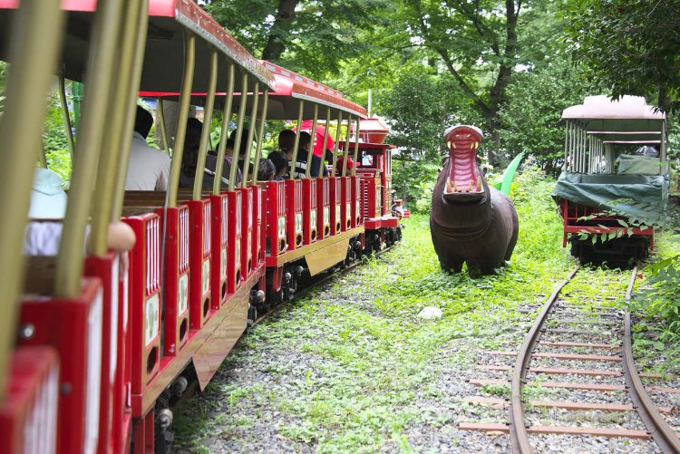 和41年（1966）に導入された模型列車はアメリカ製。この頃、サイクロンやミステリーゾーンや、アンチックカーなどが設置されほぼ現役だ。列車はゆっくりあじさい園の中を走る。時折大きな動物の模型がいる。