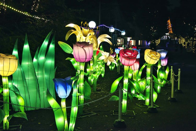 夜の巨大花 出入口から石神井川を渡ってアトラクションに至る道筋には、怪しく輝く巨大花の数々。夢の世界から現世へ。帰りたくない。