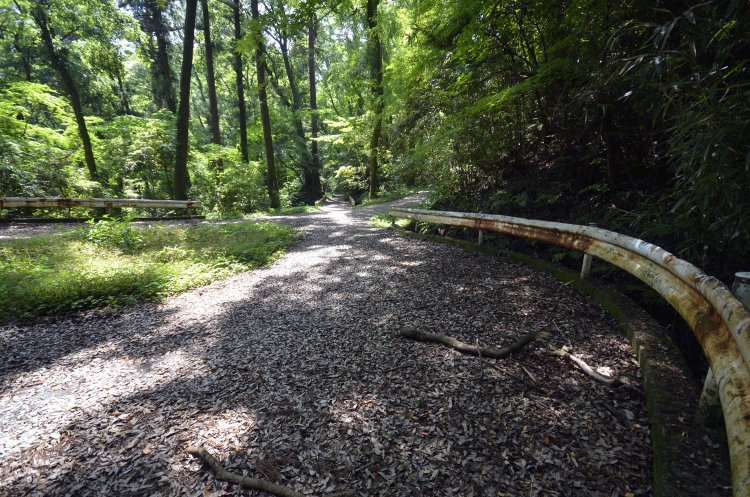 帯曲輪付近にある観光道路の強引な平面ループ。現在車は通れない。