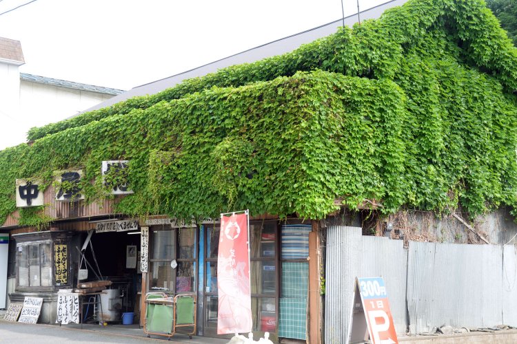 壁面を草が覆う、とある店。建物なら鑑賞だが、植物なので観賞か。