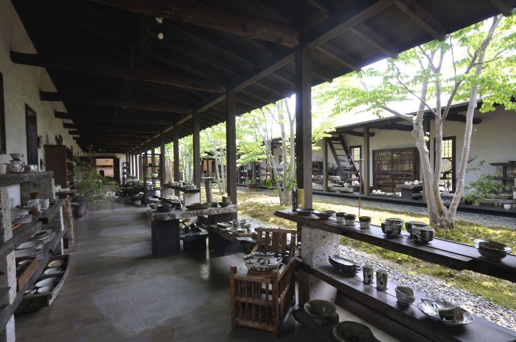 ヤマボウシが茂る中庭に面した、自然光が差し込む開放的な空間。