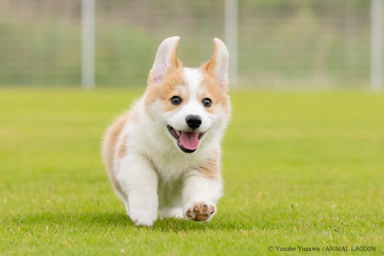 狭い範囲を切り取り余計な物は写さない。