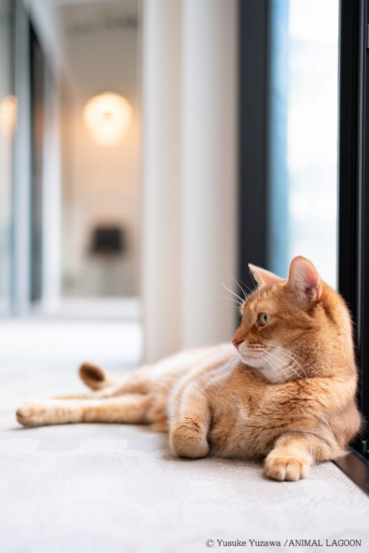 50mm F1.4で撮影。