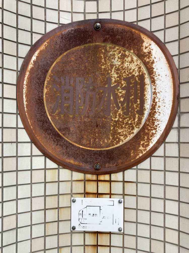 ついに茶色い円盤に（聖蹟桜ヶ丘）