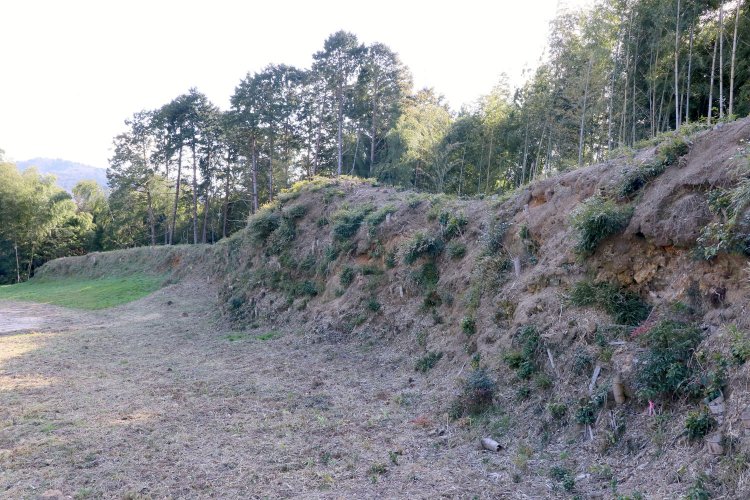 高さ2～3m、全長約130mもある大土塁。