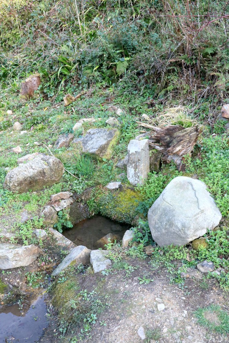 山吹井戸。石の隙間から水があふれていた。