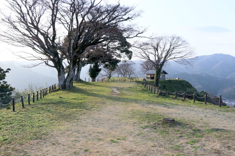 本丸から二の丸、三の丸方面。繋がっているようだが間に堀切がある。