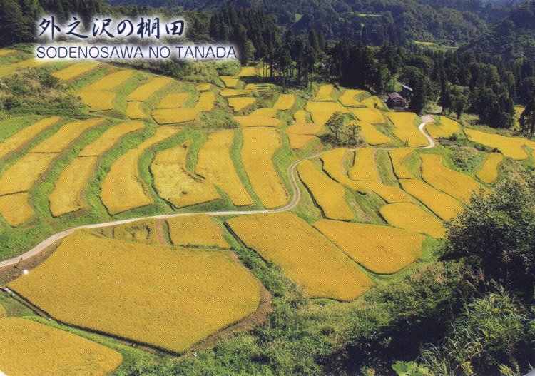 「にいがた棚田カード」の「外ノ沢の棚田」はサンプラザで配布中。