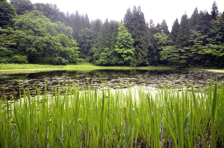 弁財天社から望む。地元では隠れたデートスポットとして人気とか。