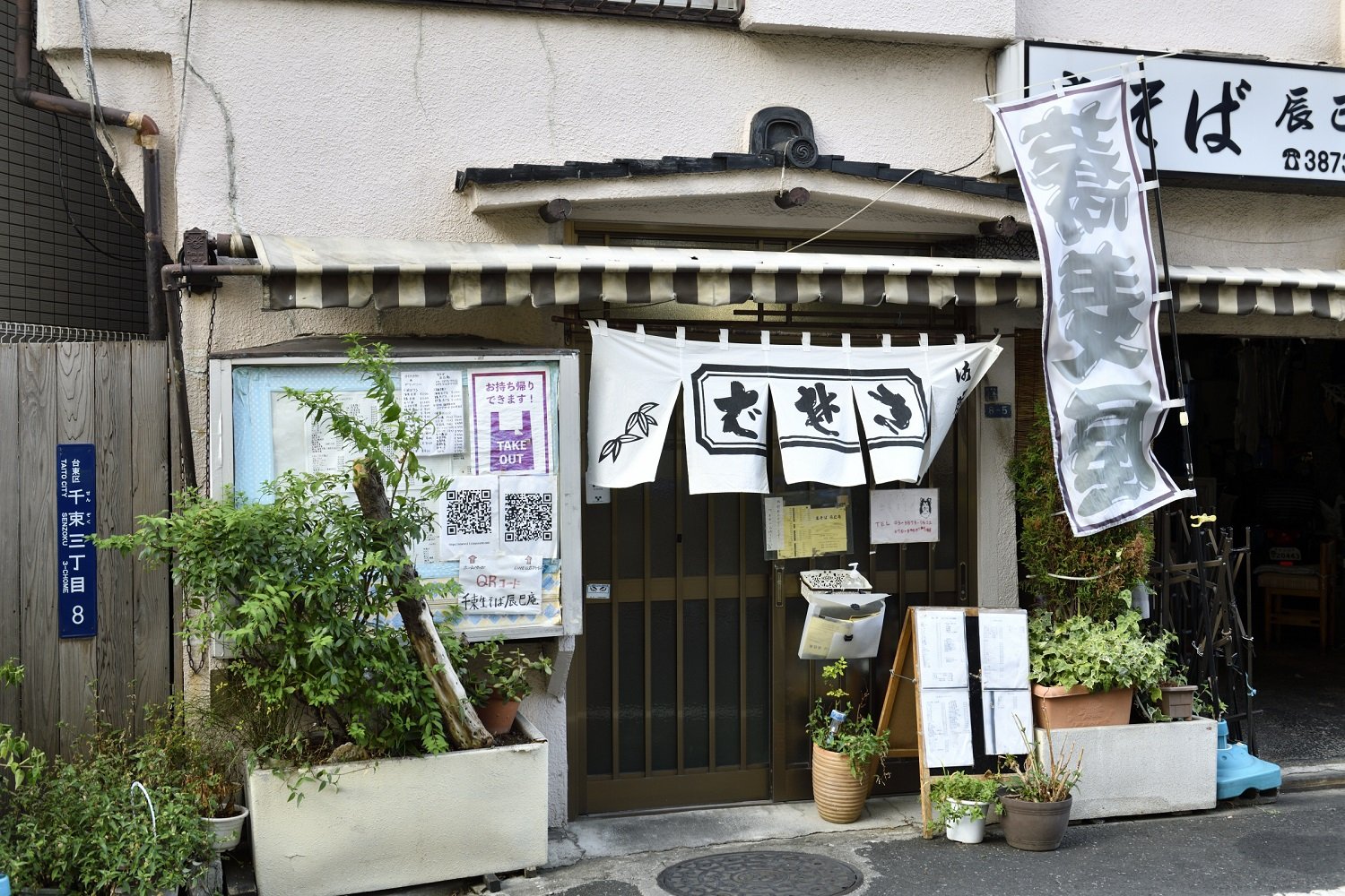 tatsumian00_3TY7011_web