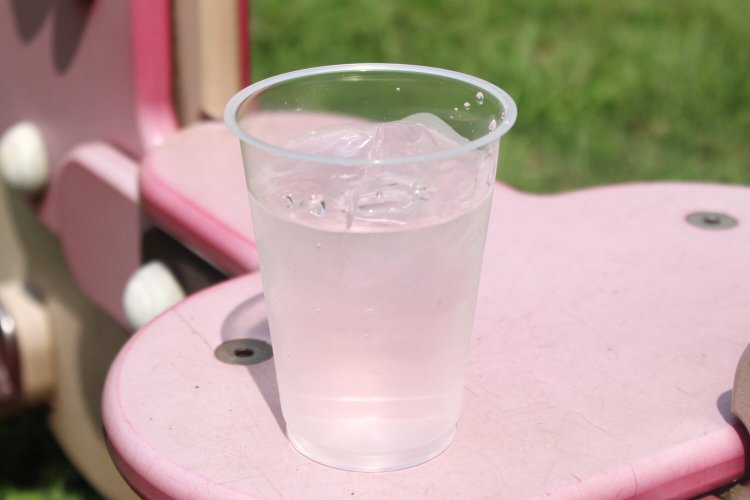 本日は秋のはじまりで、天気も良いので外からお届けします。