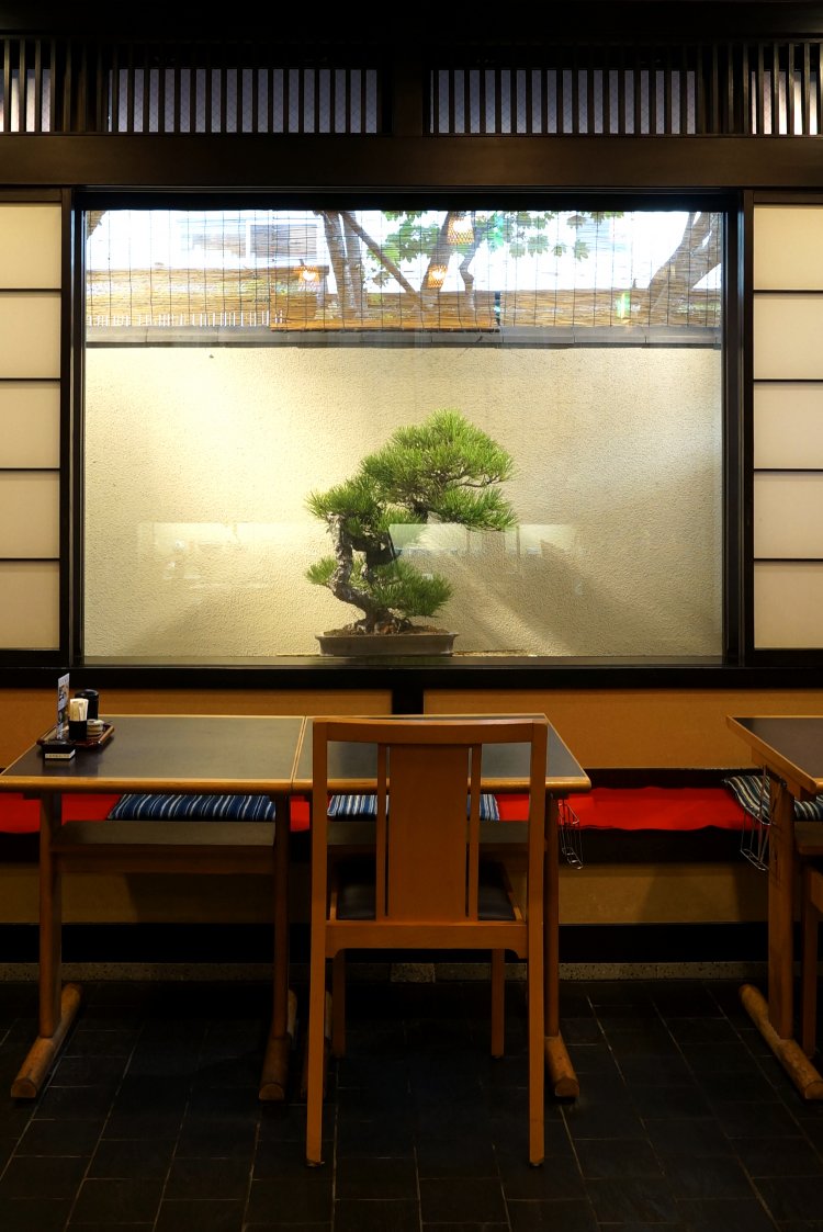 この日の盆栽は松。店内にいても季節を感じる。 