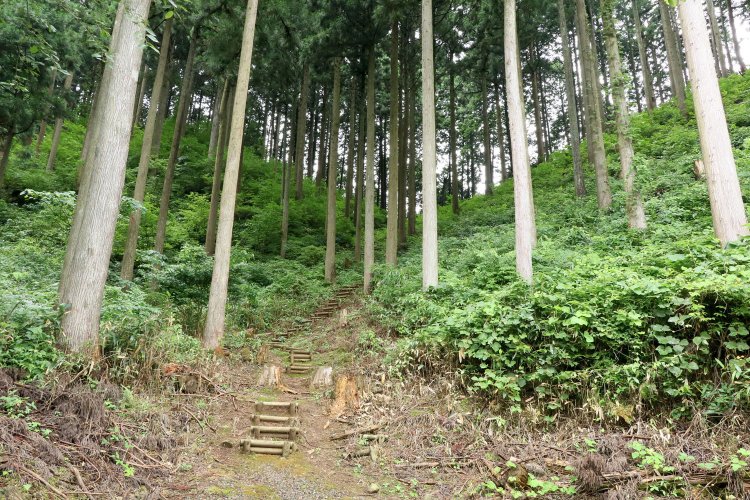 一乗谷城の裏口、三万谷ルート登山口。