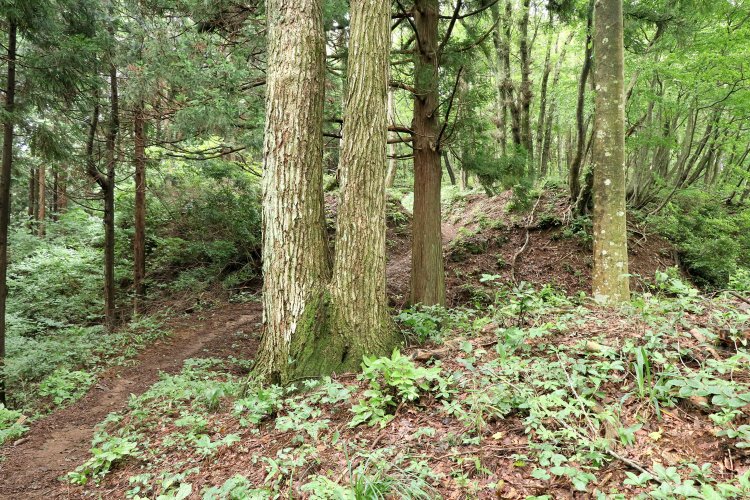 人の手が加わった構造にしか見えない。