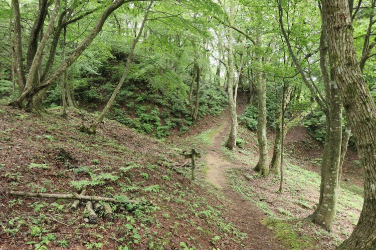 左手奥の巨大な崖の手前がズバッと堀切になっている。