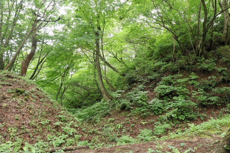 近づいてみるとこんな感じ。エグい。