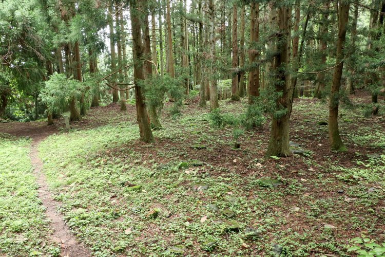 千畳敷跡。約1500㎡あり、礎石も発見されている。