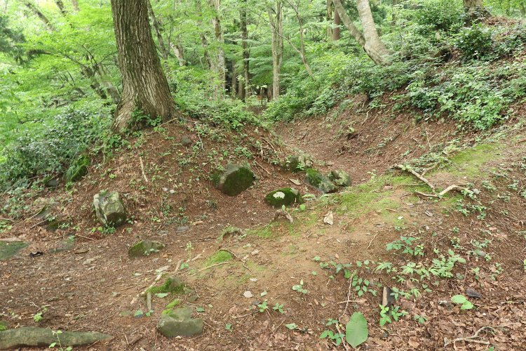 虎口の上部には崩壊した石垣の石が転がっていた。