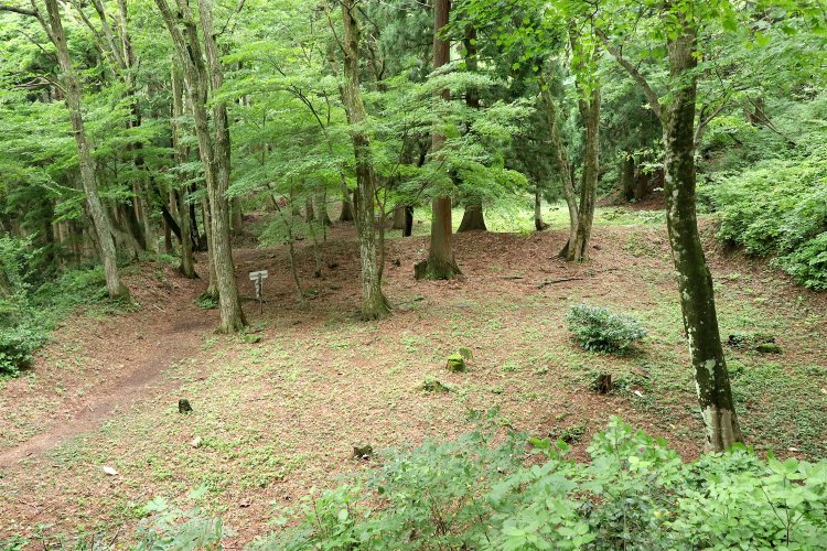 手前が観音屋敷跡。奥の地面に緑が多い部分が千畳屋敷跡。