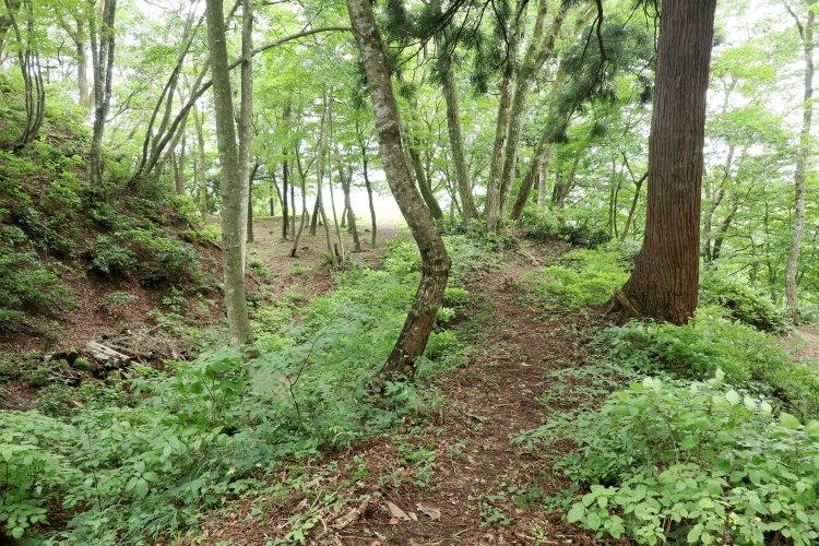 写真中央が土塁。並行するように左側がくぼんでいる。
