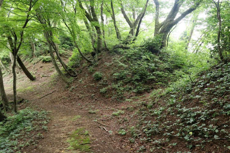 一の丸と二の丸の二重堀切。