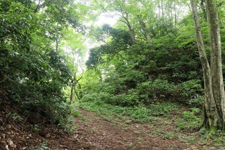 左手前が二の丸、右奥が三の丸。