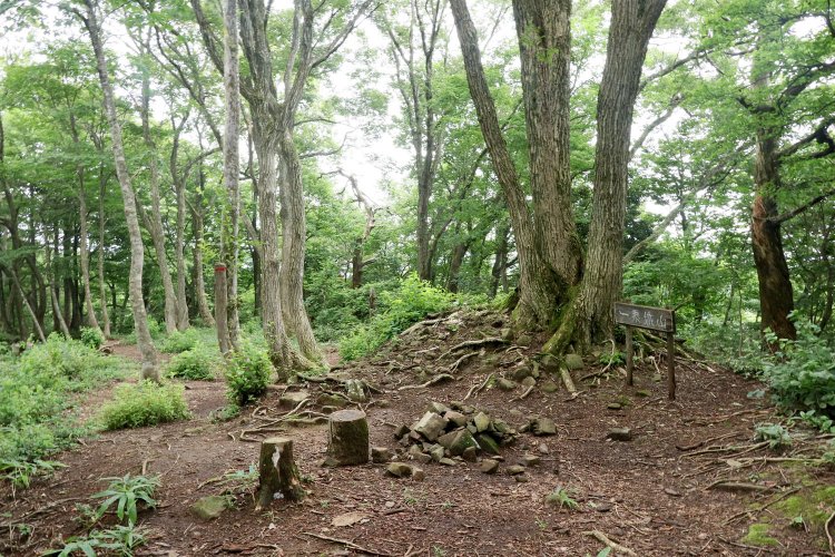 標高473.8mの一乗寺山の山頂から三の丸全体を眺める。幅は狭いが縦に長く、広さはそこそこある。