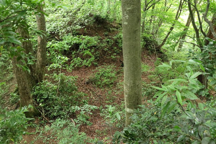 体感的＆見た目的にはほぼ直角。木につかまりながら無理やり撮影。