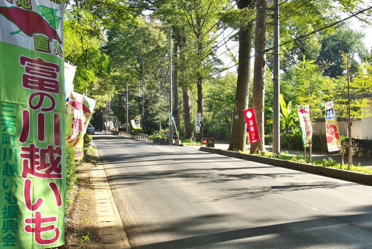 いも街道には、9月からのシーズンには「富の川越いも」ののぼりが点在。いも農家は20軒以上あるので、どこに寄ろうか悩んでしまう。（撮影：鴇田康則）