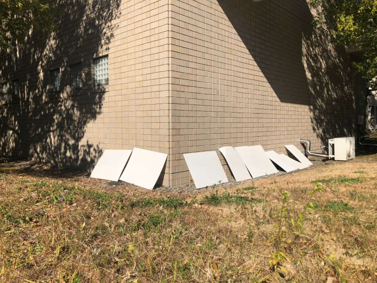 Sunbathing nothings《無の甲羅干し》