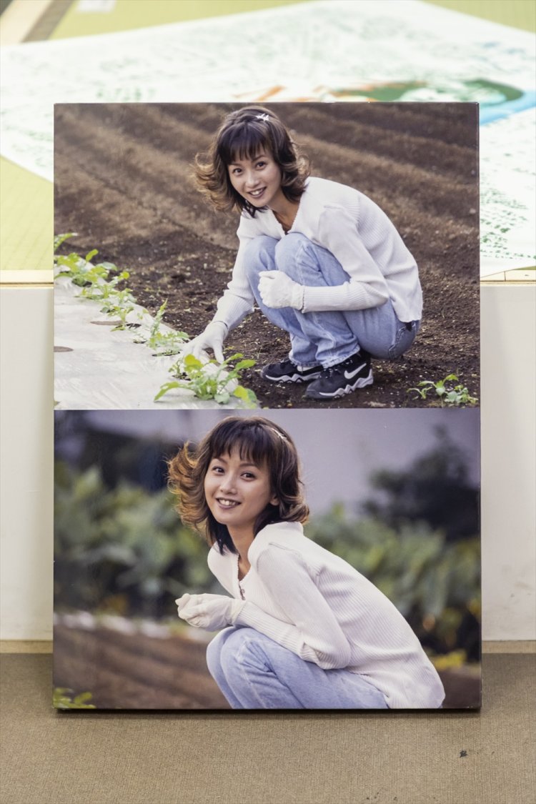 市内の畑で野菜を育てていた本田さんの写真。