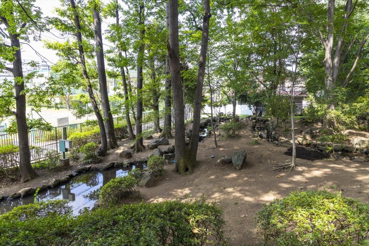 本田美奈子.の詩「地球へ」で「湧水が出ていて沢ガニがたくさん」いた、と書かれた近所の山。写真の滝の根公園の整備前の情景と思われる。