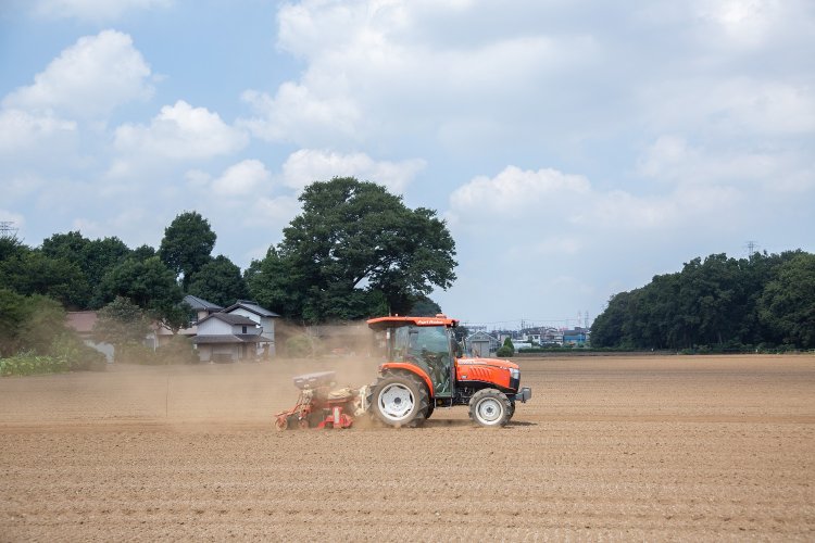 8月下旬に種まきした秋そばは9月下旬に花を咲かせ、10月下旬頃に収穫期を迎える。
