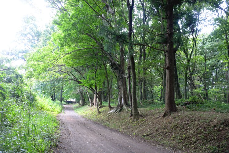 町東部を南北に縦断。資料館近くには崇徳寺跡などの遺跡も多い。