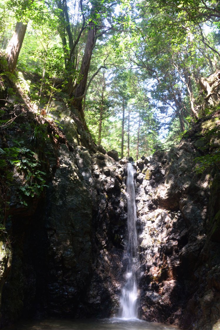 獅子ケ滝はコンパクトながら宿谷の滝と並ぶ毛呂山の名瀑。