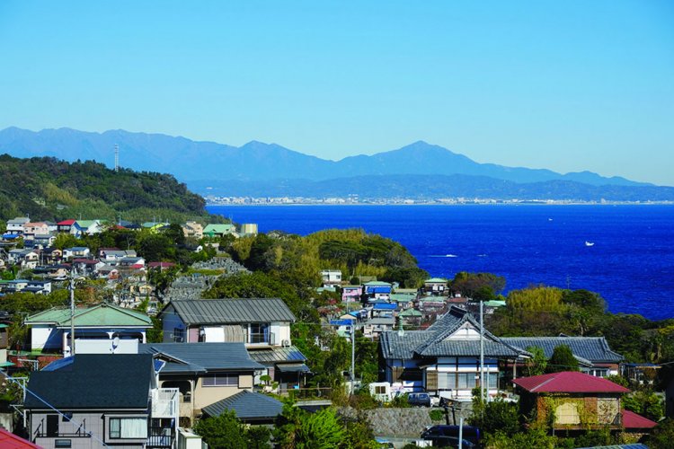 お林展望公園に行く途中から見えた相模湾と大山。