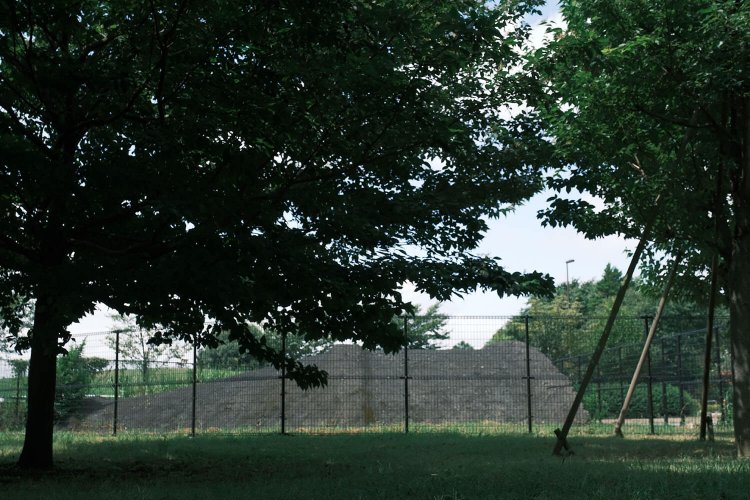 大沢２号掩体壕。木々に囲まれている。