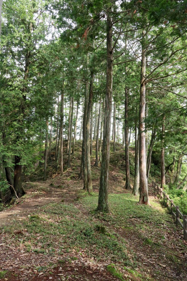 三の丸から見た出丸方面。