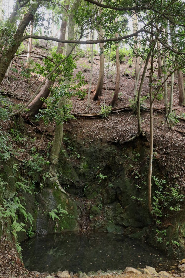 岩盤に守られた井戸が、突如、目の前に出現。