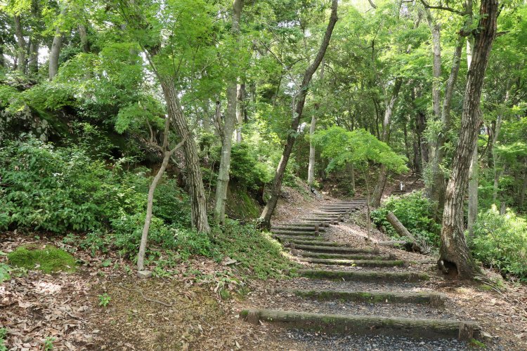 尾根に沿うように段曲輪が連なっている。