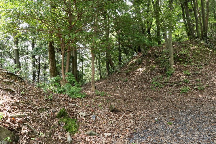 曲輪間にはきちんと堀切も。