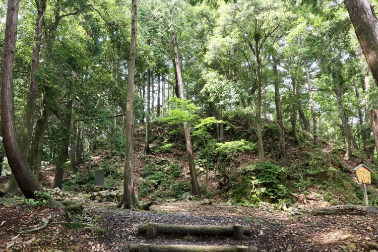 南の丸から本丸を見上げる。