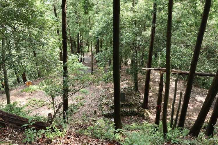 本丸南端の切岸上から「南の丸」を見下ろす。