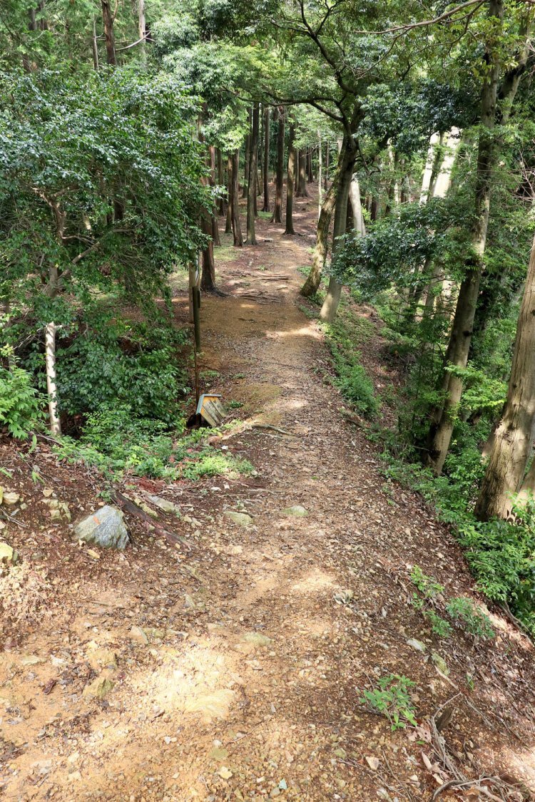 虎口の先には細い土橋、その左脇に大堀切。