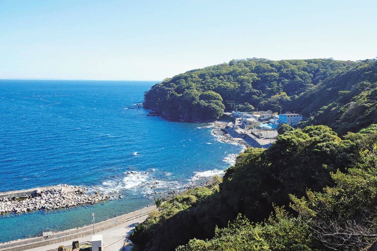 琴ケ浜を上から望む。上方がお林になる。