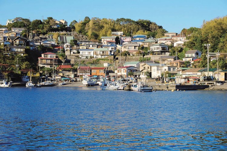 真鶴港。さまざまな魚介類が水揚げされるが、多いのはサバ、ブリ、カツオ、イワシ、アジ、イカ、マグロなど。